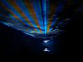 T-20190928-205928_P8750854-gx0