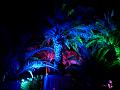 T-20190928-212612_P8760304-gx0