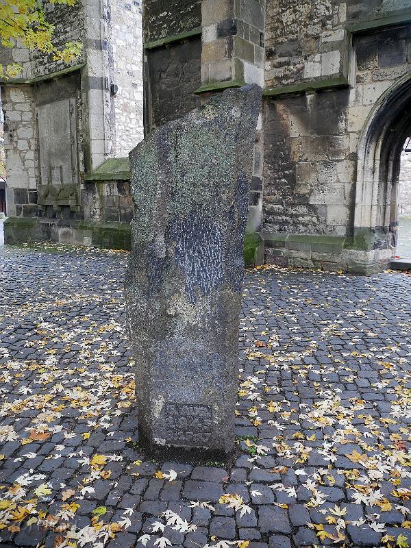 P5020379as.jpg