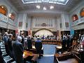 P5010068as