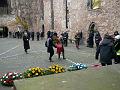P5010564as