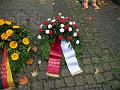 P5010779as