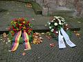 P5010781as