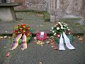 P5020404as