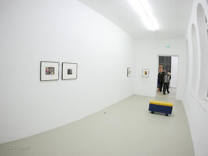 P5350672.JPG