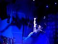 T-20191203-191858_P8870876-gx0