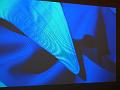 P5670297_P5680113