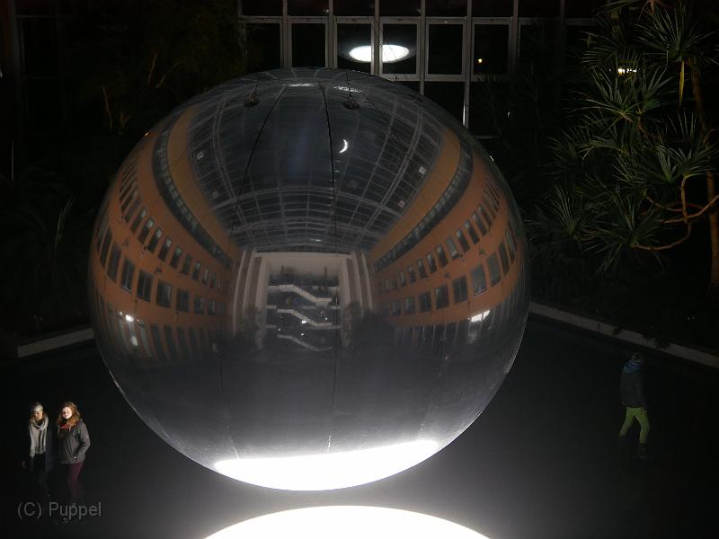 T-20200125-221439_P6420317.JPG