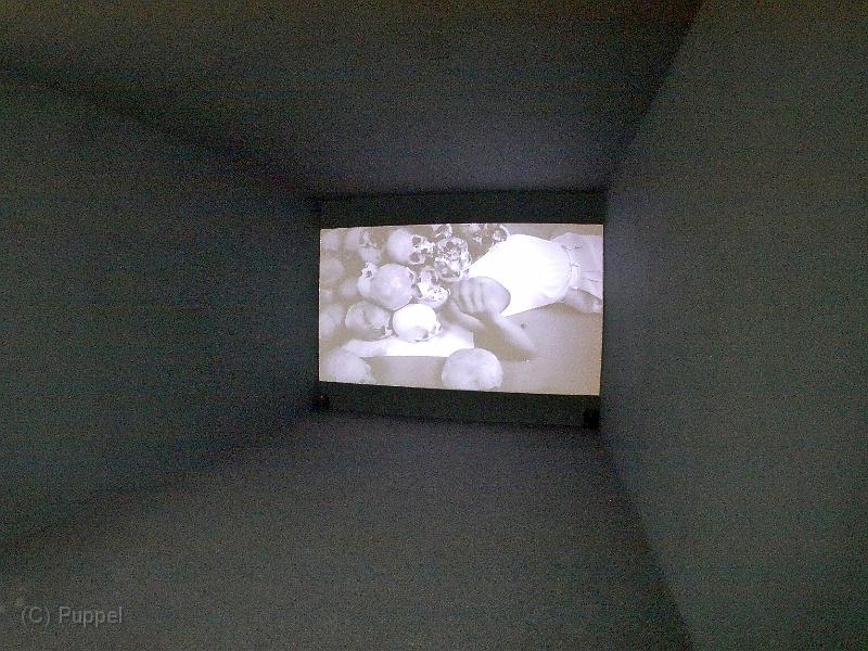 P4a-P6800216.JPG