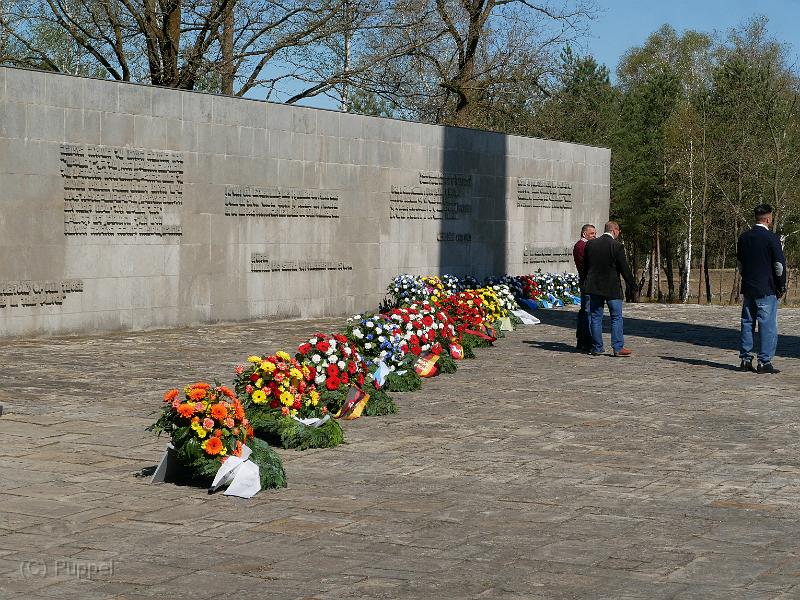 T-20200419-100444_P7550820-gx1.JPG