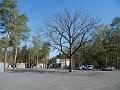 T-20200419-093032_P7550424-gx1
