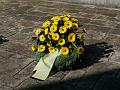T-20200419-094702_P7550498-gx1