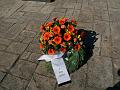 T-20200419-094738_P7550515-gx1