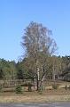 T-20200419-103846_IMG_0615-7d