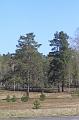 T-20200419-103848_IMG_0617-7d