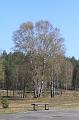 T-20200419-103850_IMG_0619-7d