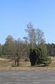 T-20200419-103854_IMG_0622-7d