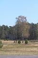 T-20200419-103856_IMG_0623-7d
