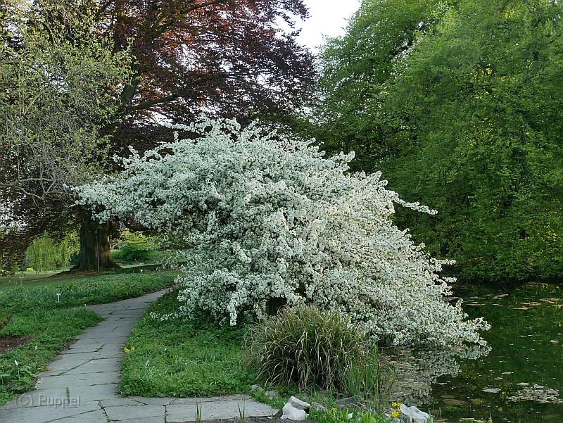 P7580499.JPG