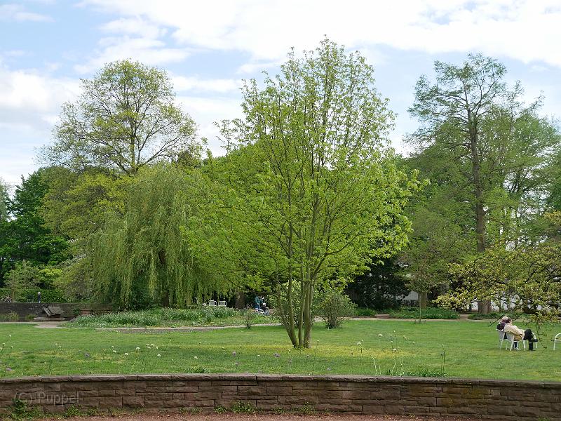 P7600429.JPG