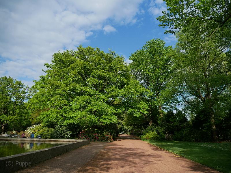 P7600449.JPG