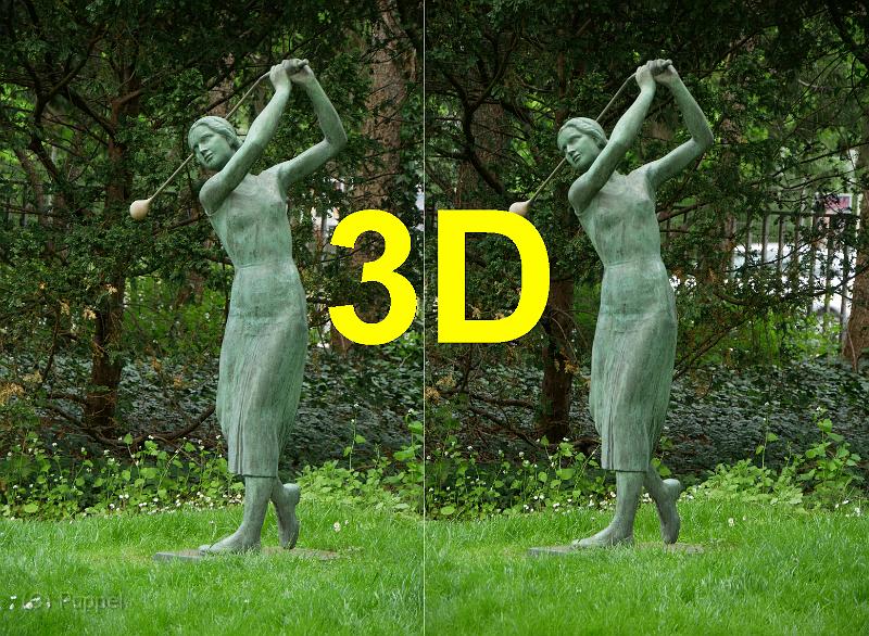 Y_3d_P7600245_3D.jpg