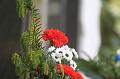 T-20200508-151452_IMG_0857-7