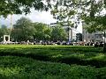 T-20200606-164704_P8110662-gx1