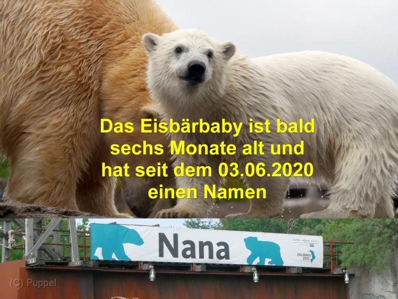 ANana-.jpg