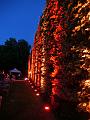 P9330594-as