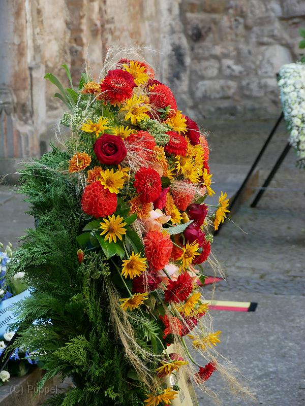 P9580847.JPG