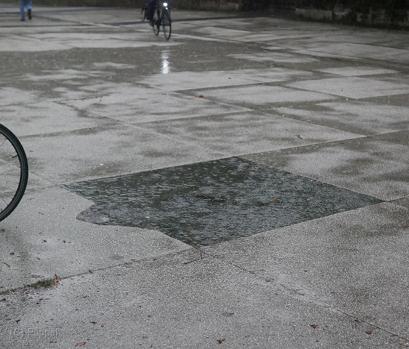 P1240988a.jpg