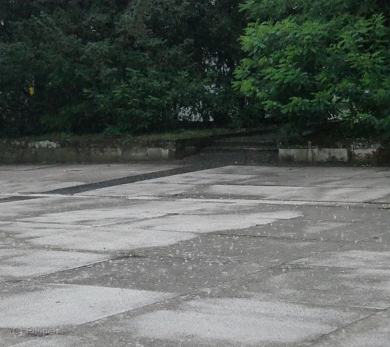 P1250760a.jpg