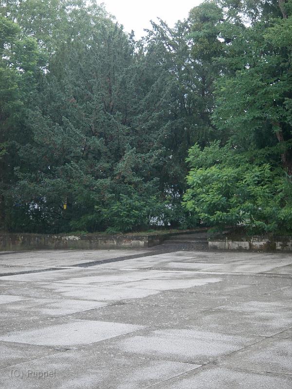P1250805.JPG