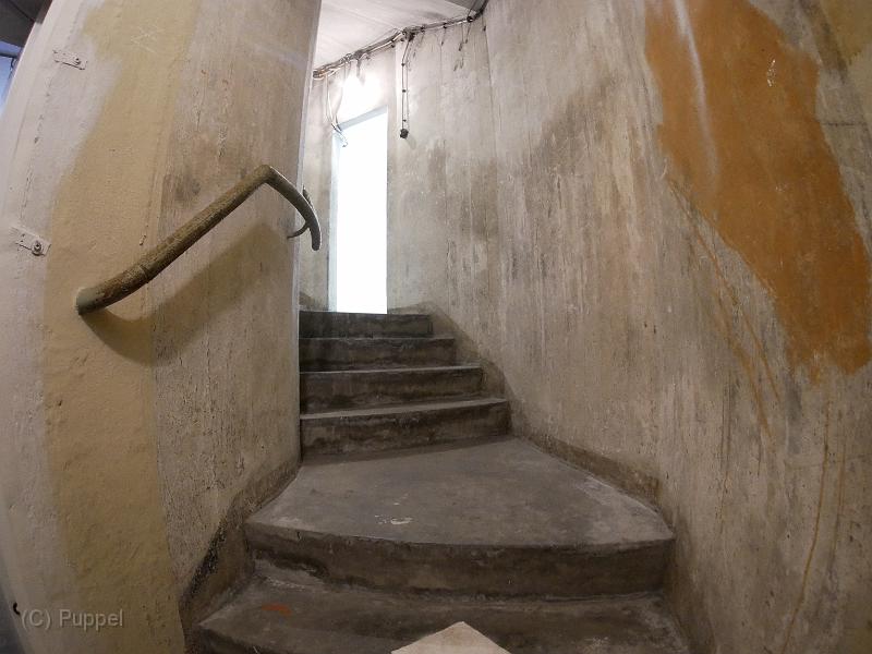 P1690574.JPG