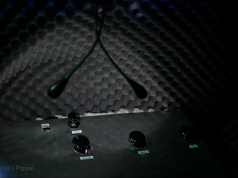 P1690651.JPG