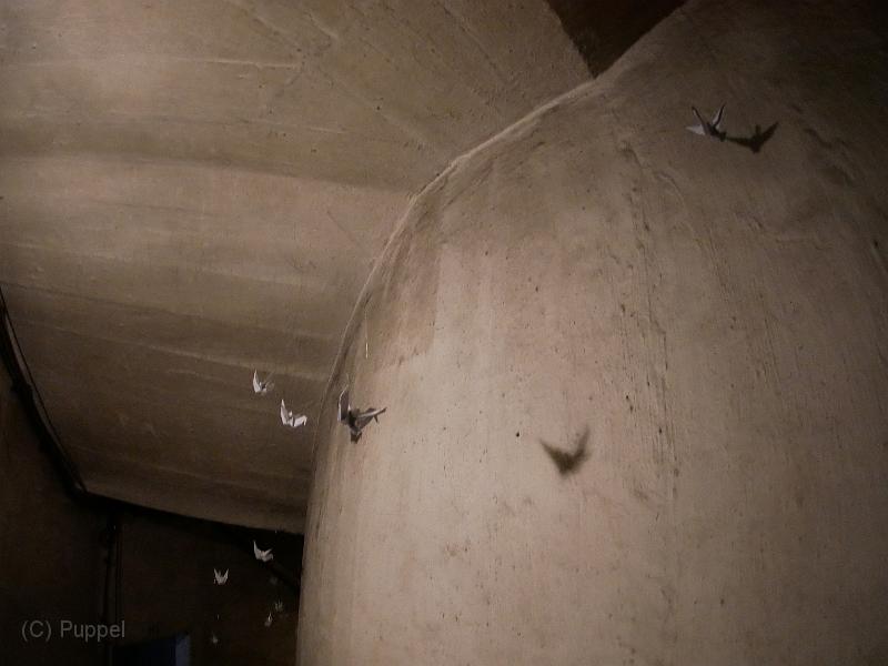 P1700064.JPG