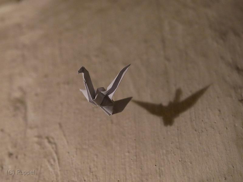 P1700083.JPG
