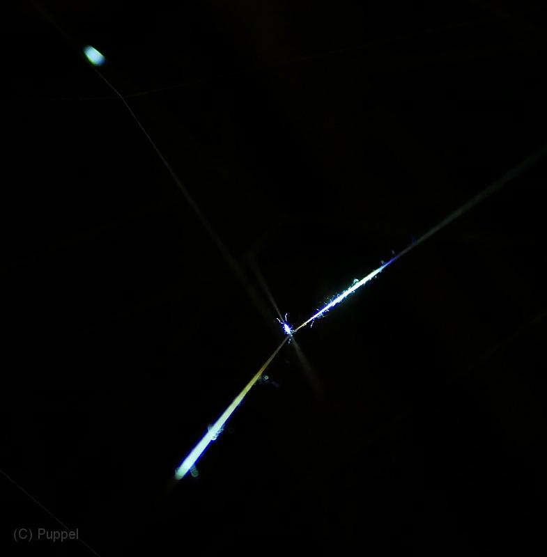 P1700899a.jpg
