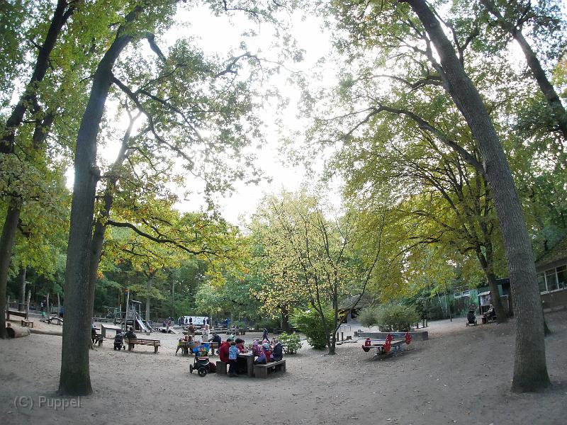 P1980669.JPG