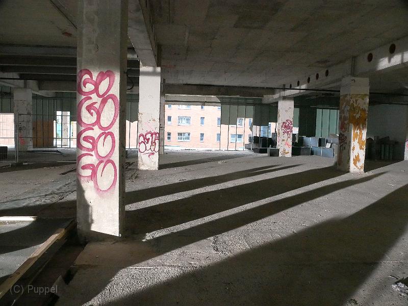 P2010124.JPG