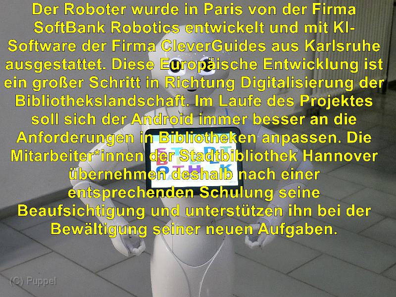 B5.jpg