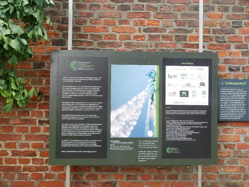 P2320102.JPG
