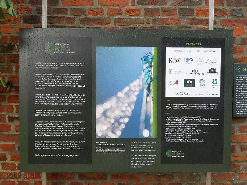 P2320124.JPG