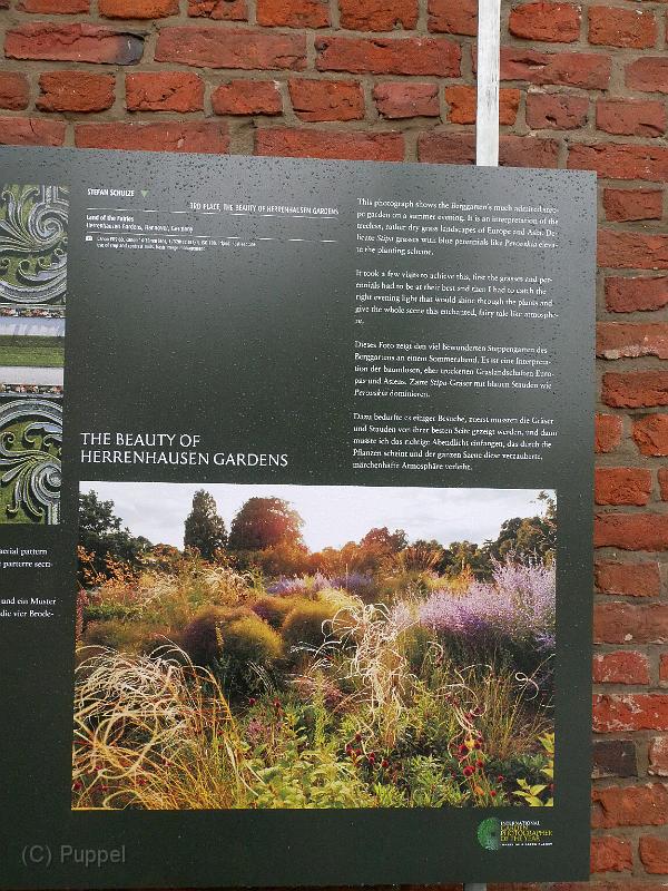 P2320129.JPG