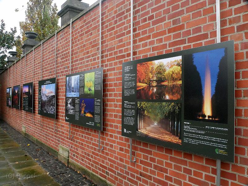 P2320141.JPG