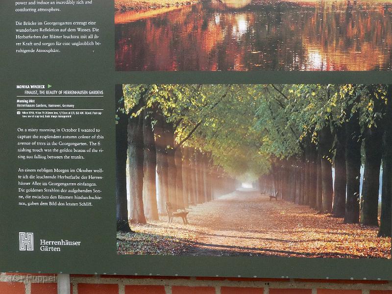 P2320150.JPG