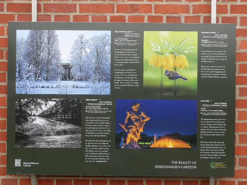 P2320152.JPG