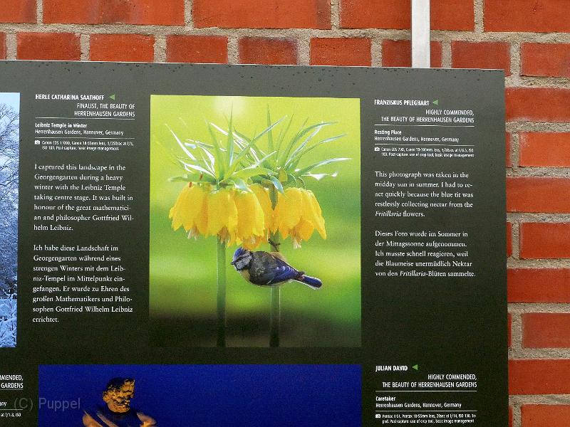 P2320156.JPG