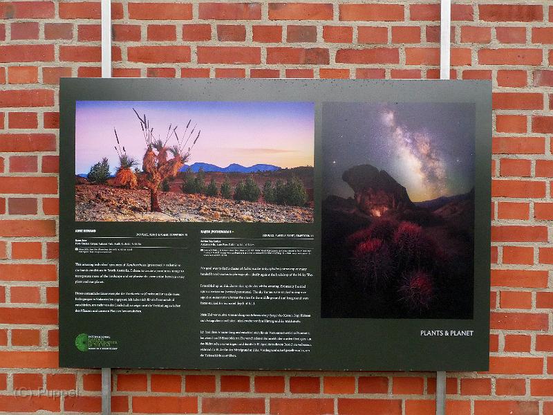 P2320170.JPG